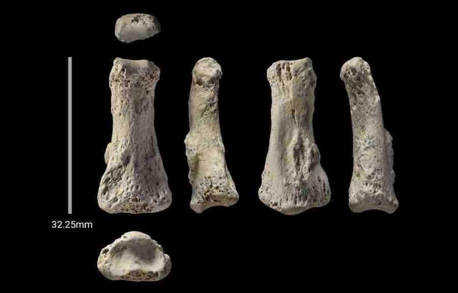 A finger bone that may change the history of human migration from Africa