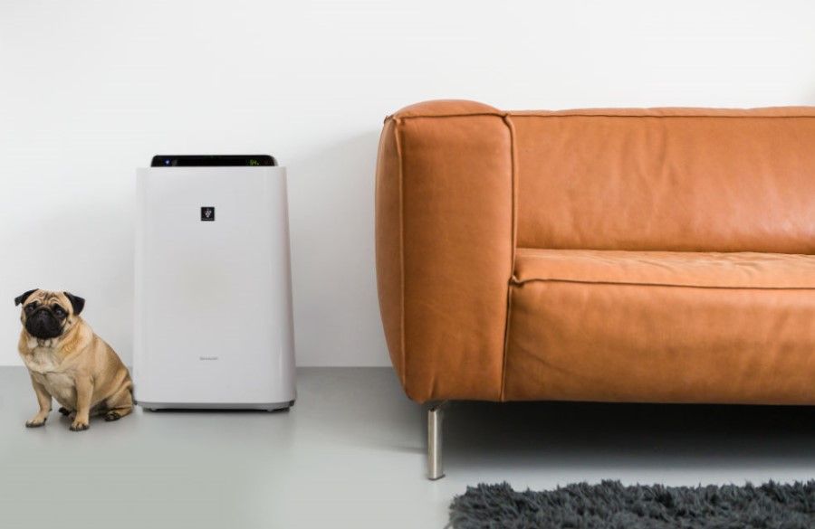 Why you should equip your office with an air purifier